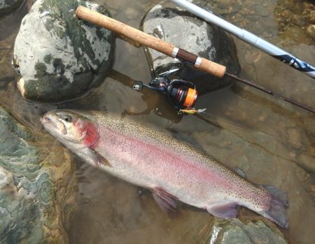 70㎝は釣れたけど 天竜川ルアーフライ専用区